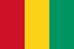 Meteologix Guinea